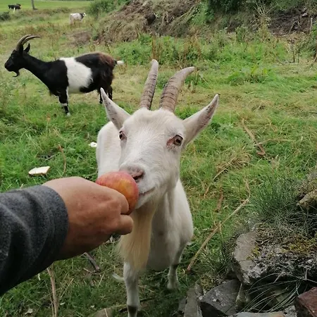 Atlantic Way Holiday home