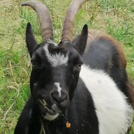 Atlantic Way Σπίτι διακοπών