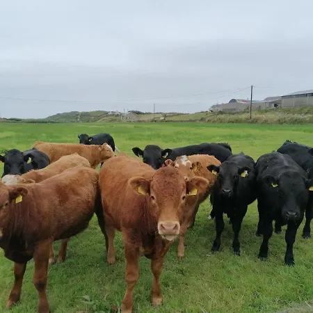 Atlantic Way * Lahinch