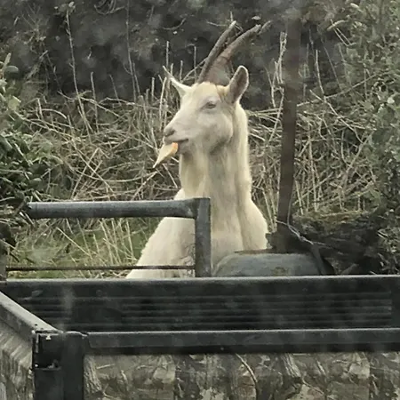 Atlantic Way * Lahinch