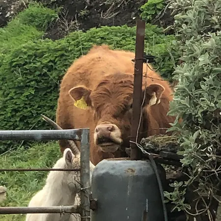 度假居 Atlantic Way