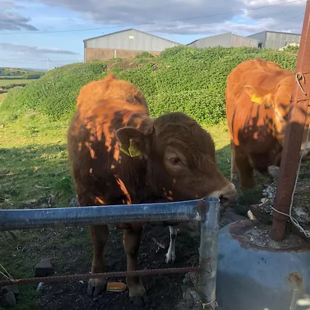 Atlantic Way Holiday home *