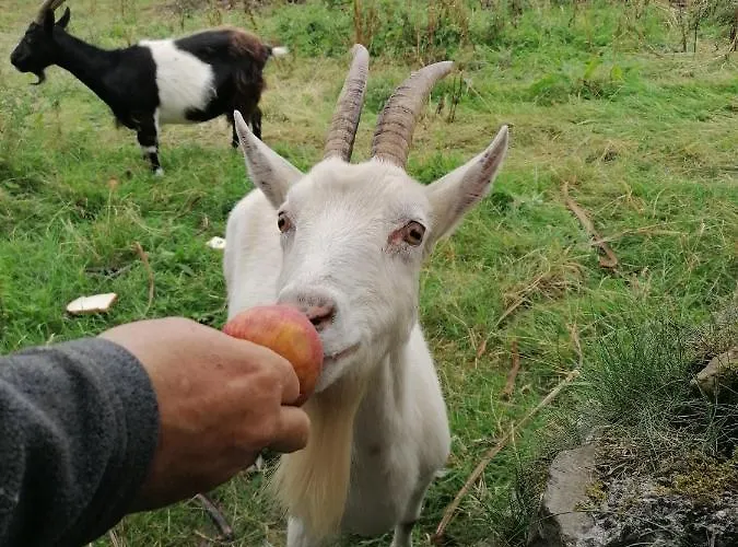 Atlantic Way Dom wakacyjny