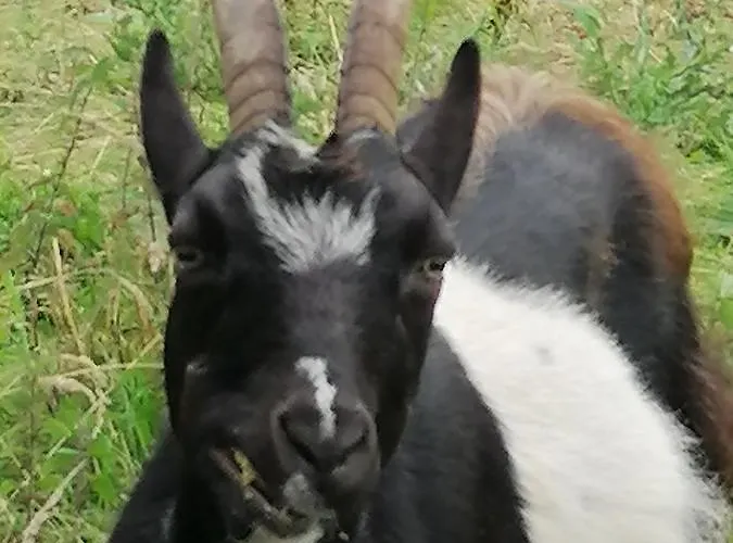 Atlantic Way Vakantiehuis