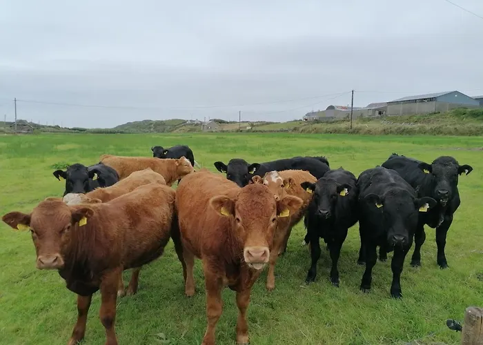Atlantic Way * Lahinch