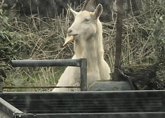 Atlantic Way * Lahinch