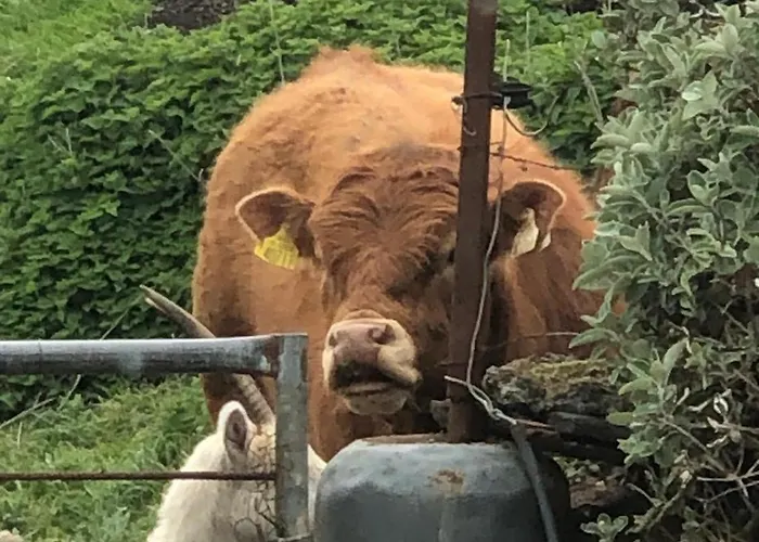 Vakantiehuis Atlantic Way