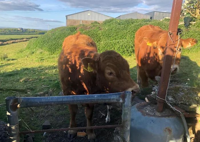 Atlantic Way Vakantiehuis *