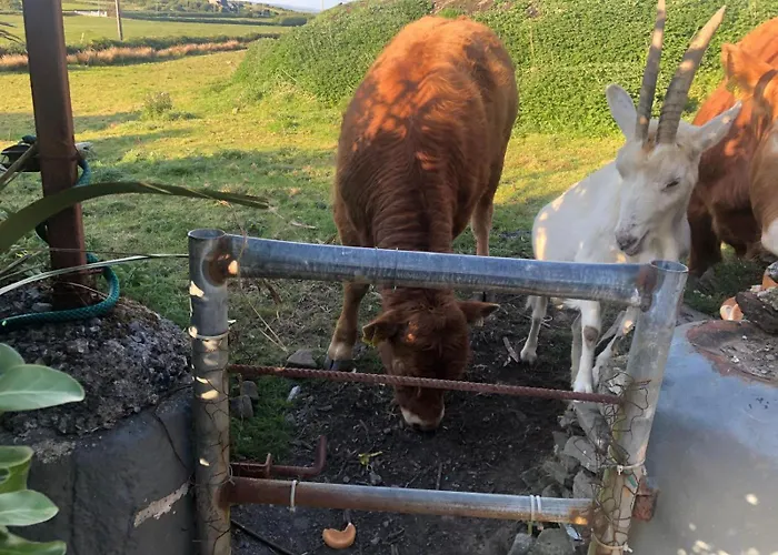 Atlantic Way Vakantiehuis Lahinch